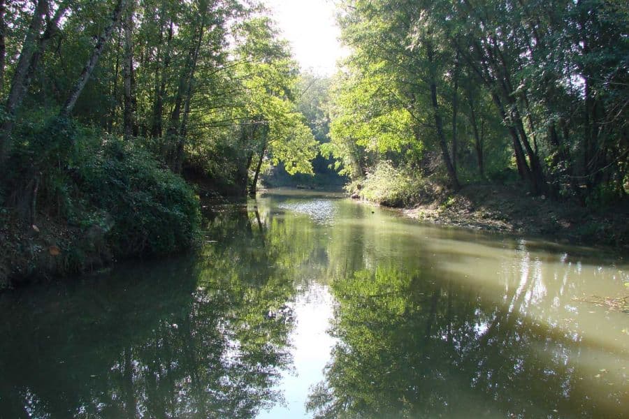 Gélise