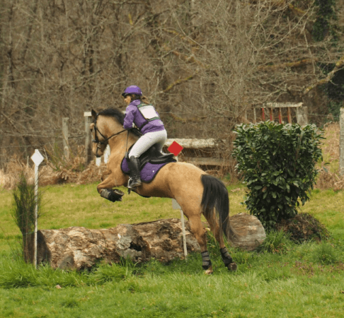 Gigondas