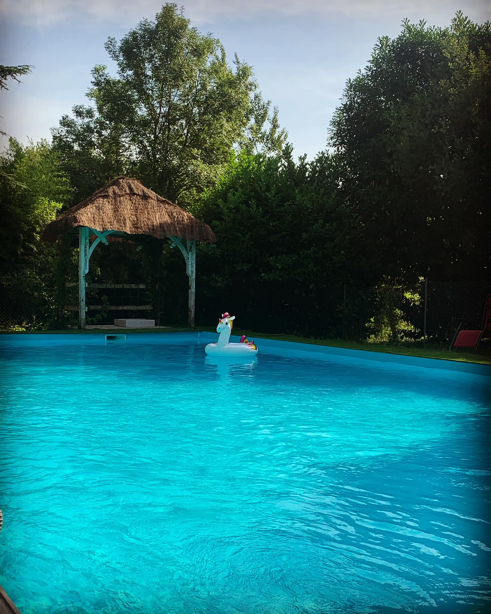 Vue sur la piscine