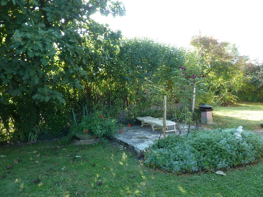 Le jardin à l'ombre
