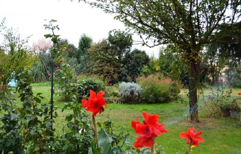 Gîte Le Mûrier 7