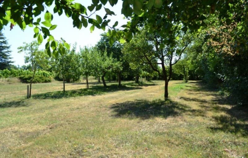 Gîte Le Prunier 11