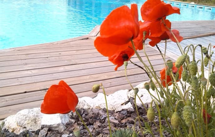 Gîte Les Coquelicots 20