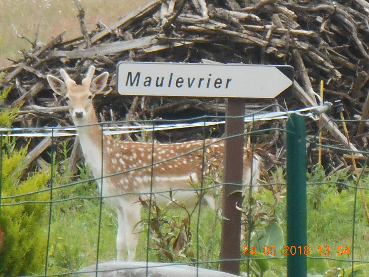 Gîte Maulevrier