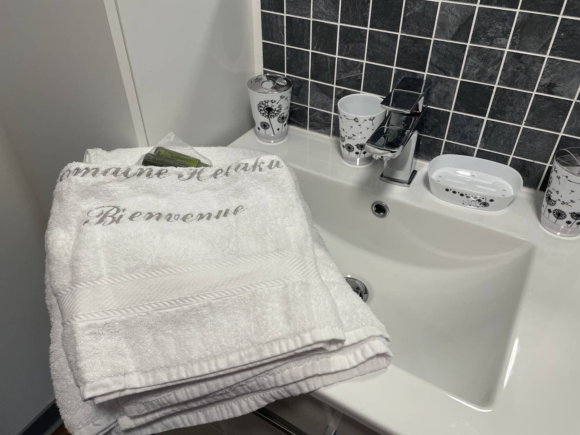 Gite Ozalée SDB1