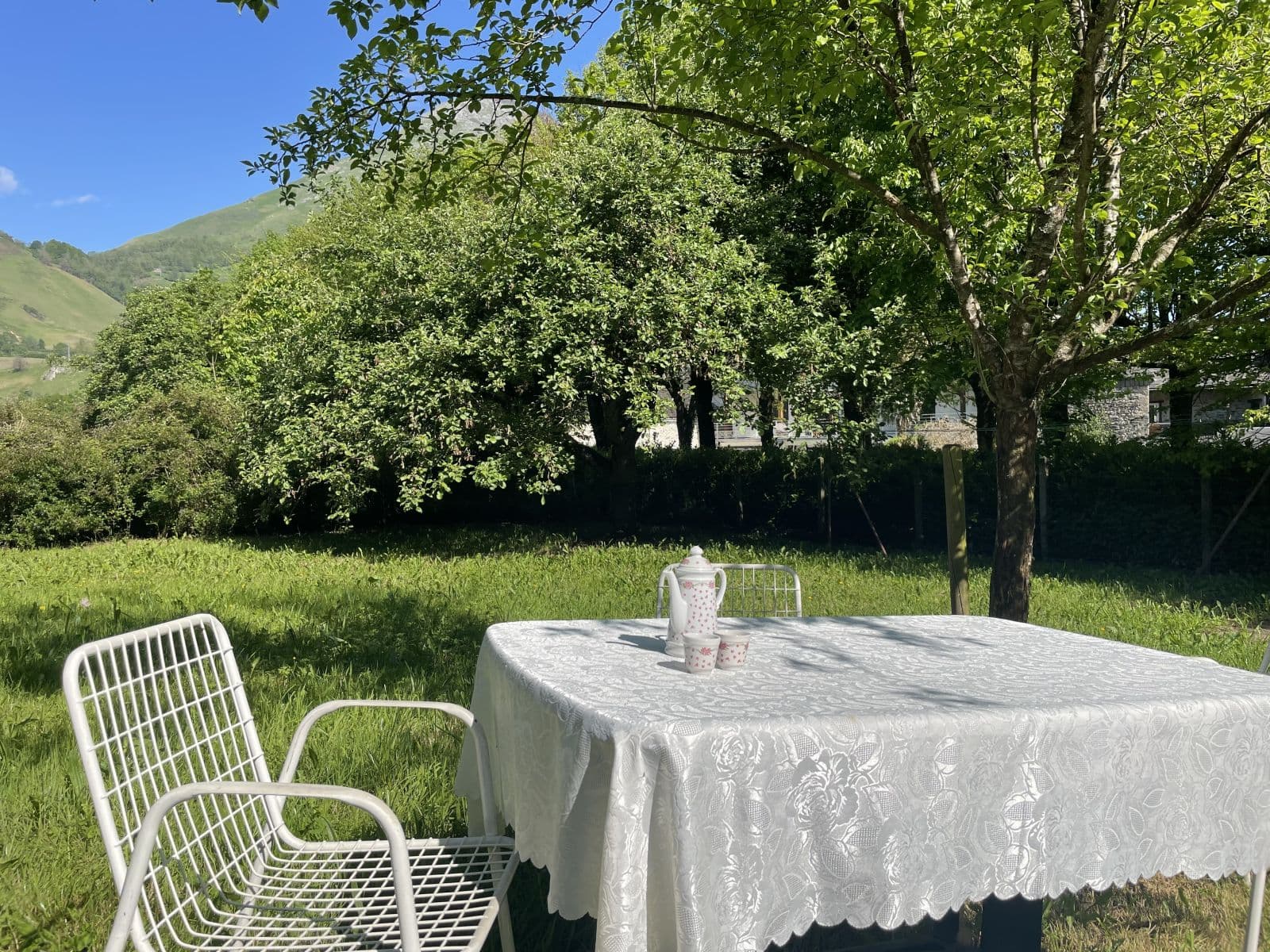 Gîte Teisseire - Jardin
