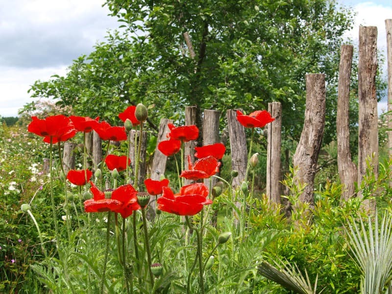 Gîte au Jardin 6