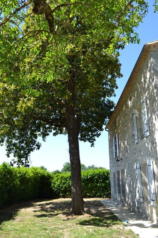 Gîte des Magnolias_17