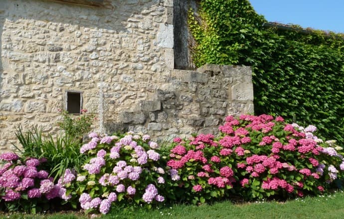 Gite-des-Tournesols-16