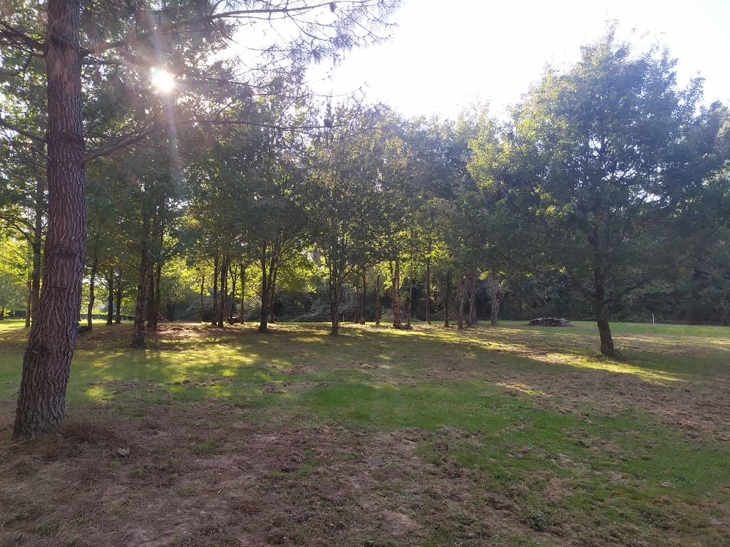 En forêt