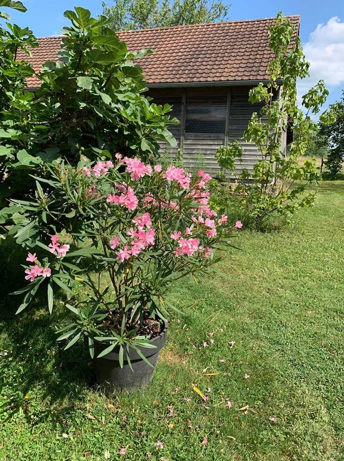 Gîte La Terrière