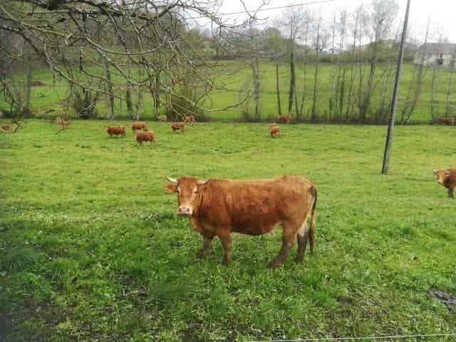 Gitelabellecampagne (10)
