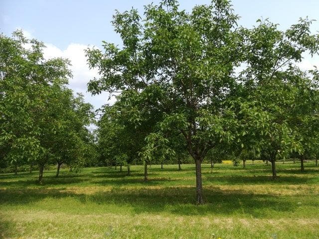 Gitelabellecampagne (15)
