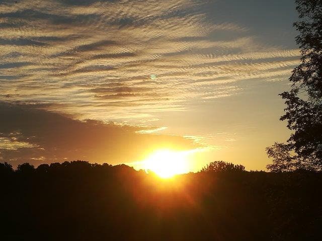 Gitelabellecampagne (17)
