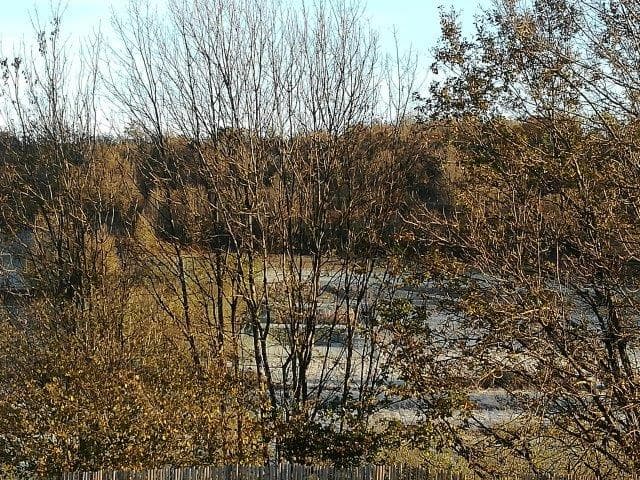 Gitelabellecampagne (20)