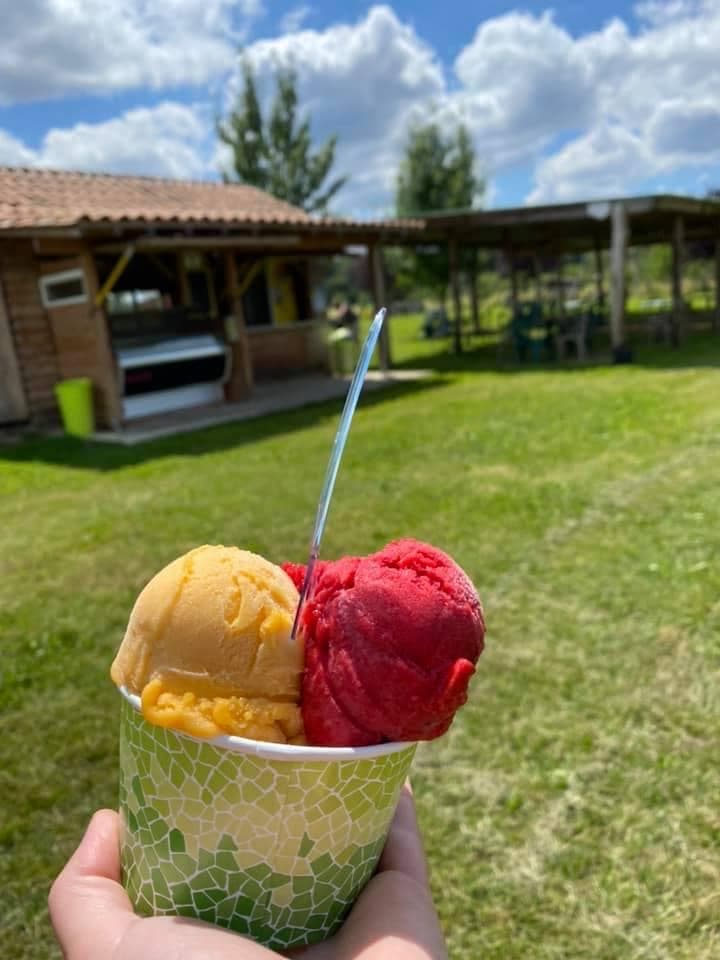 Sorbet mangue framboise