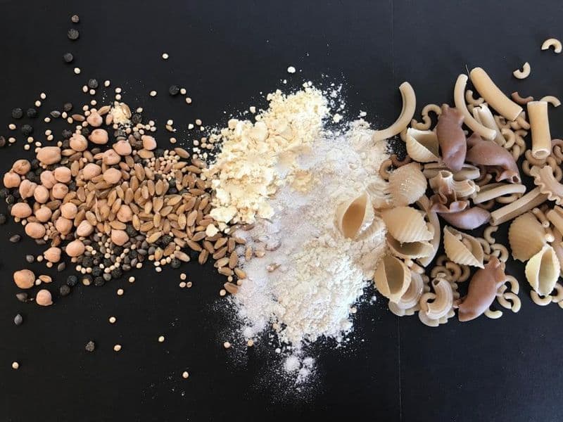 Grainelis Pates farine legumineuse degustation Taize Plaine vallees Thouarsais