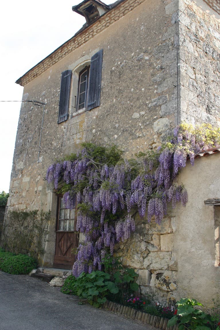 Grignols 2