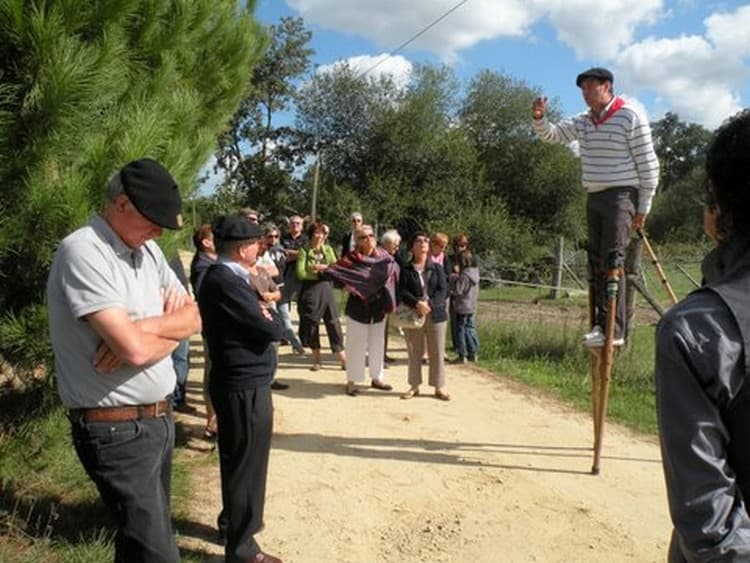 Groupe à la ganaderia