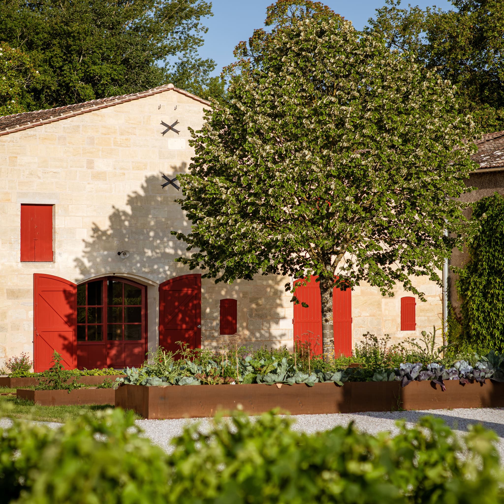 château haut bages libéral 8