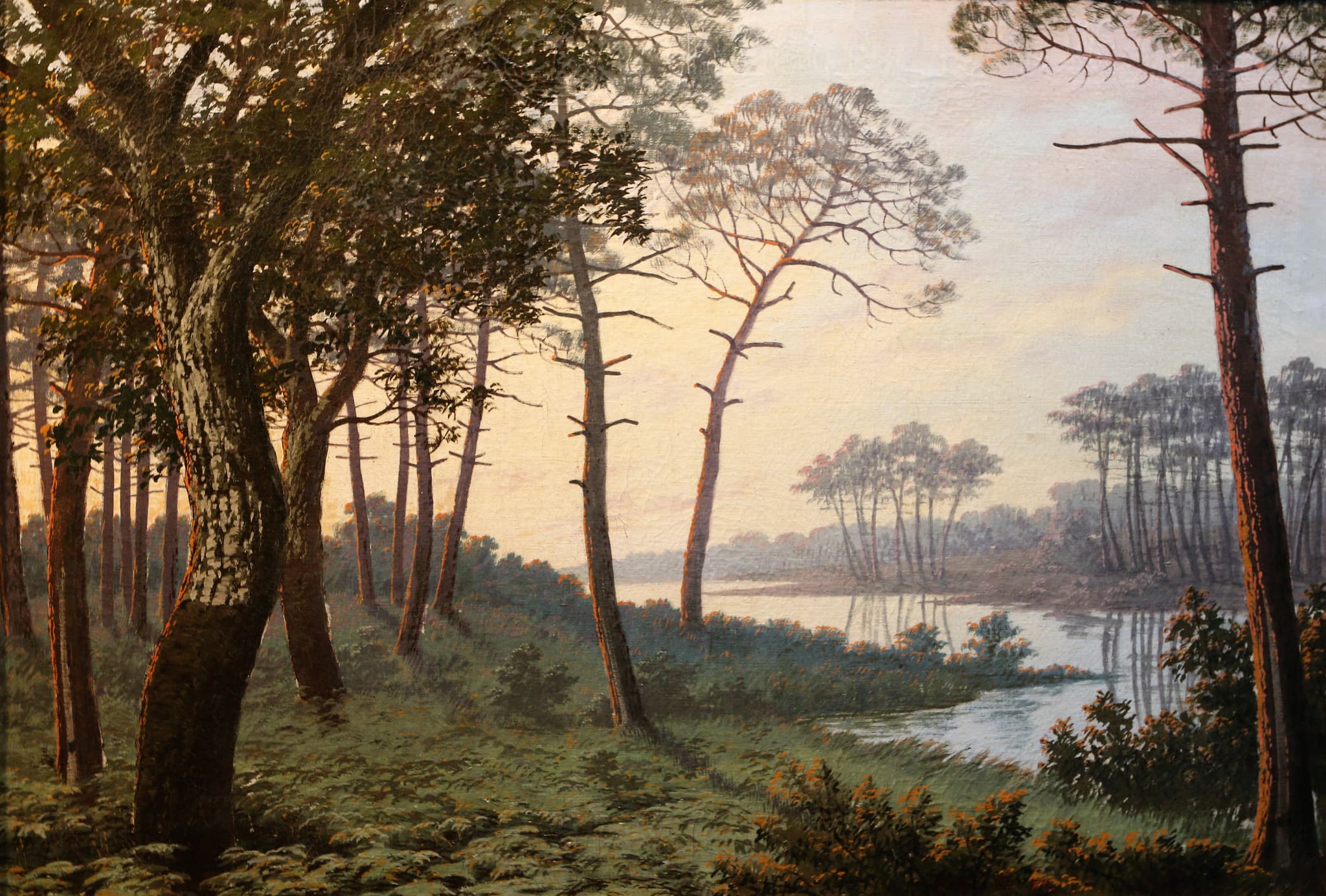 HENRI TAYAN LAC DANS LES LANDES