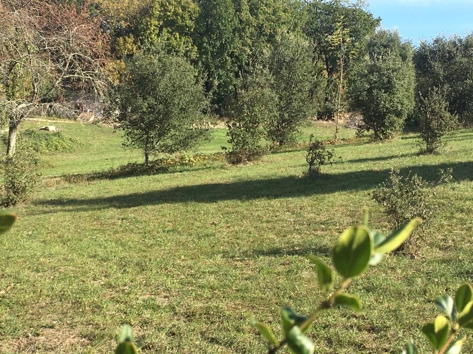 HLOAQU047V50MO89_grande16