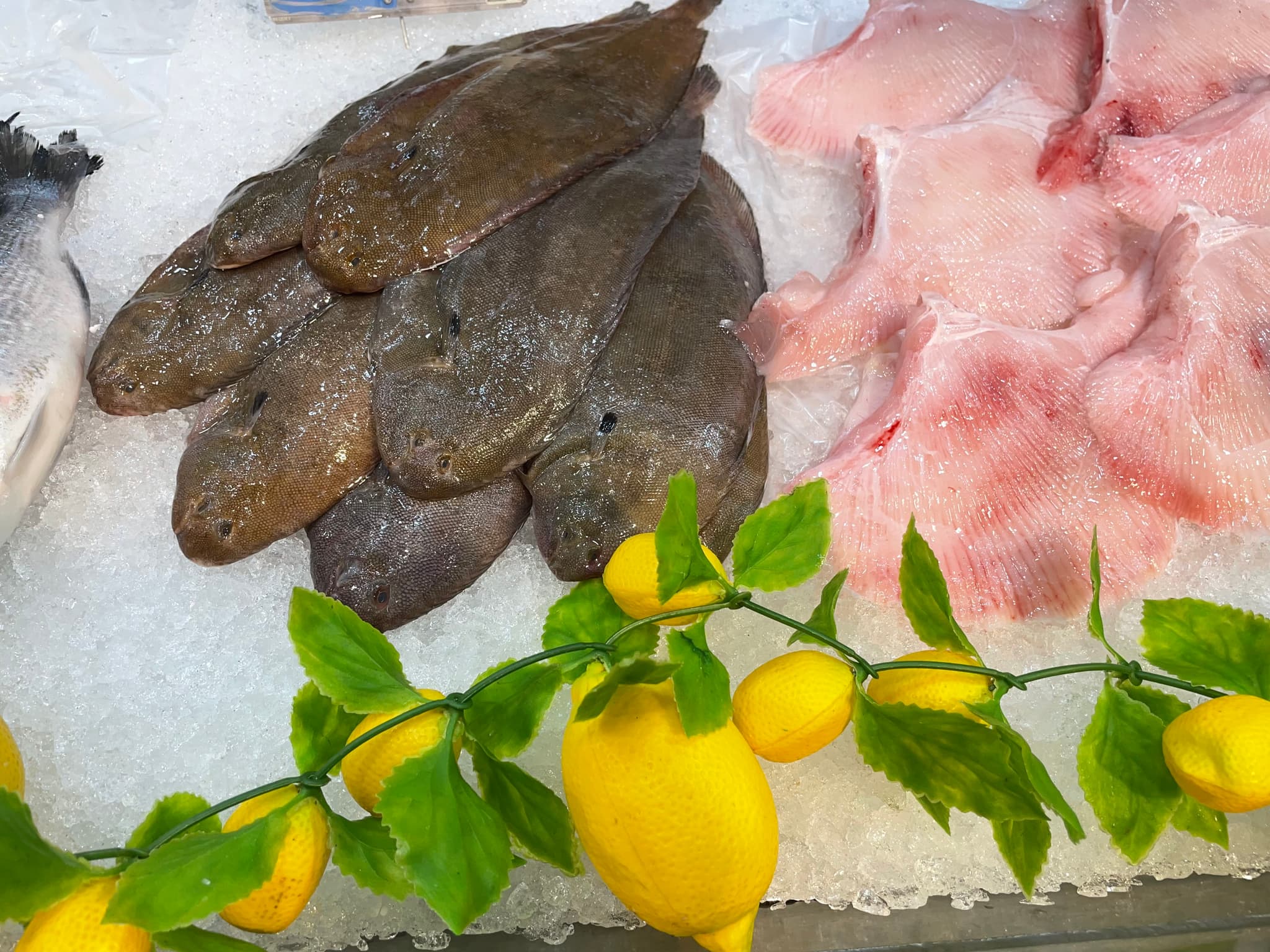 Haddock3