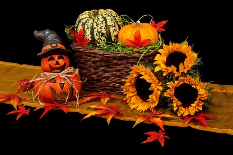 Halloween OTPI
