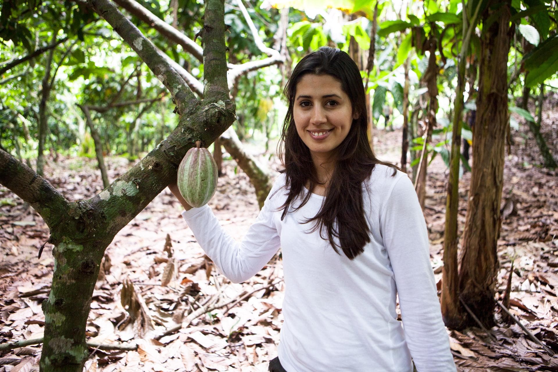 Hasnaa-Plantation