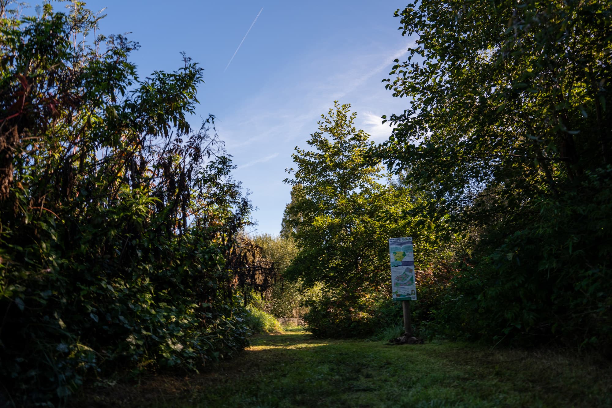 Havre de biodiversité de Lamouly