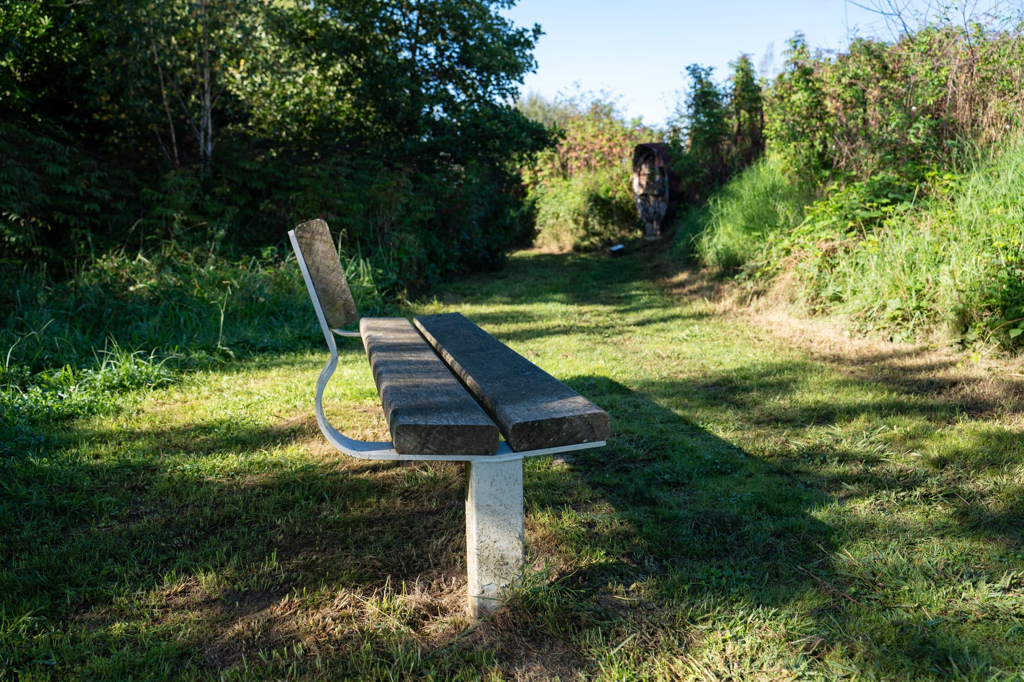 Havre de biodiversité de Lamouly