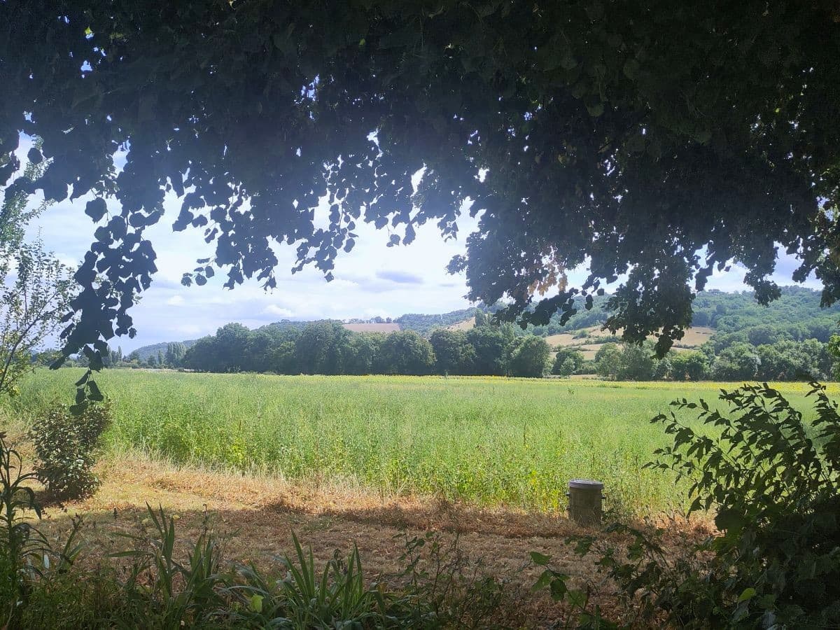 Herboristerie-Vue et prairie