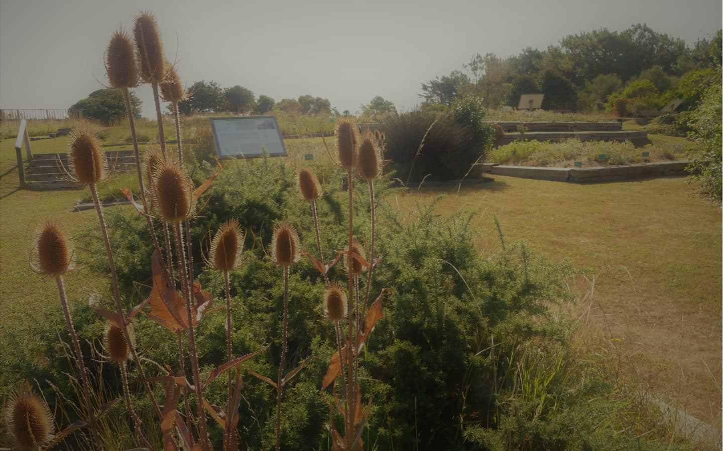 Horaires d'automne