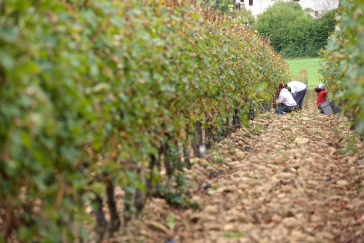 Domaine Mont d'Oraàs