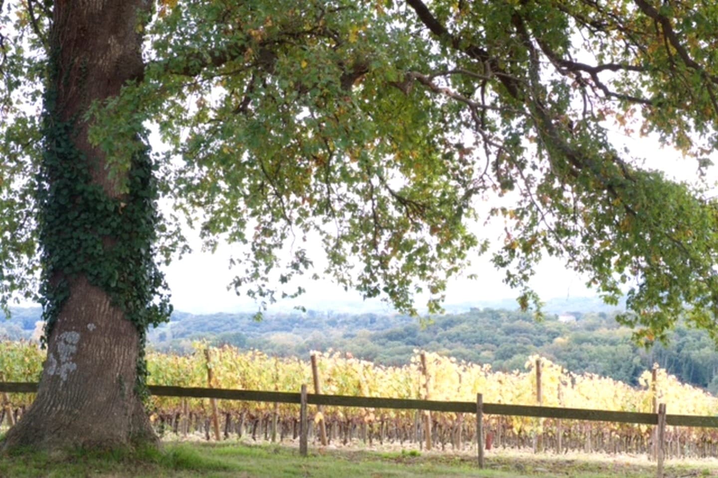 Domaine Mont d'Oraàs