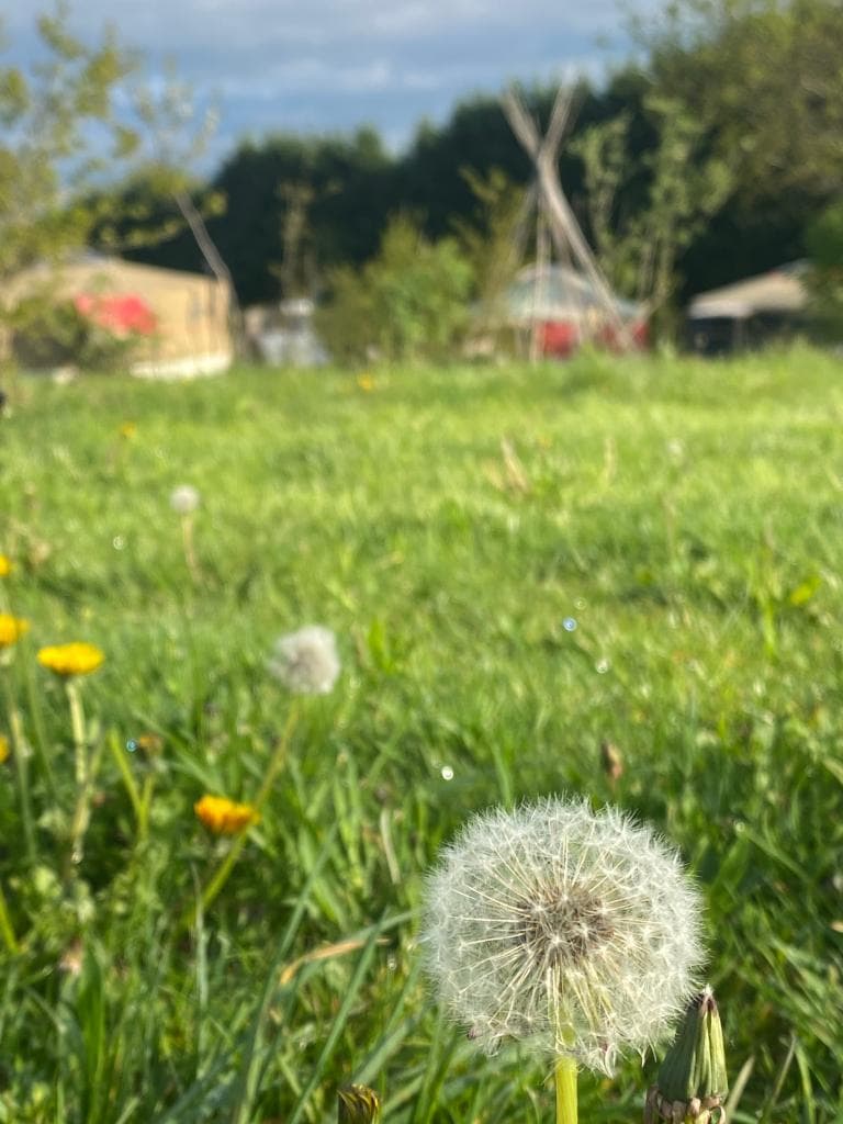 aire naturelle