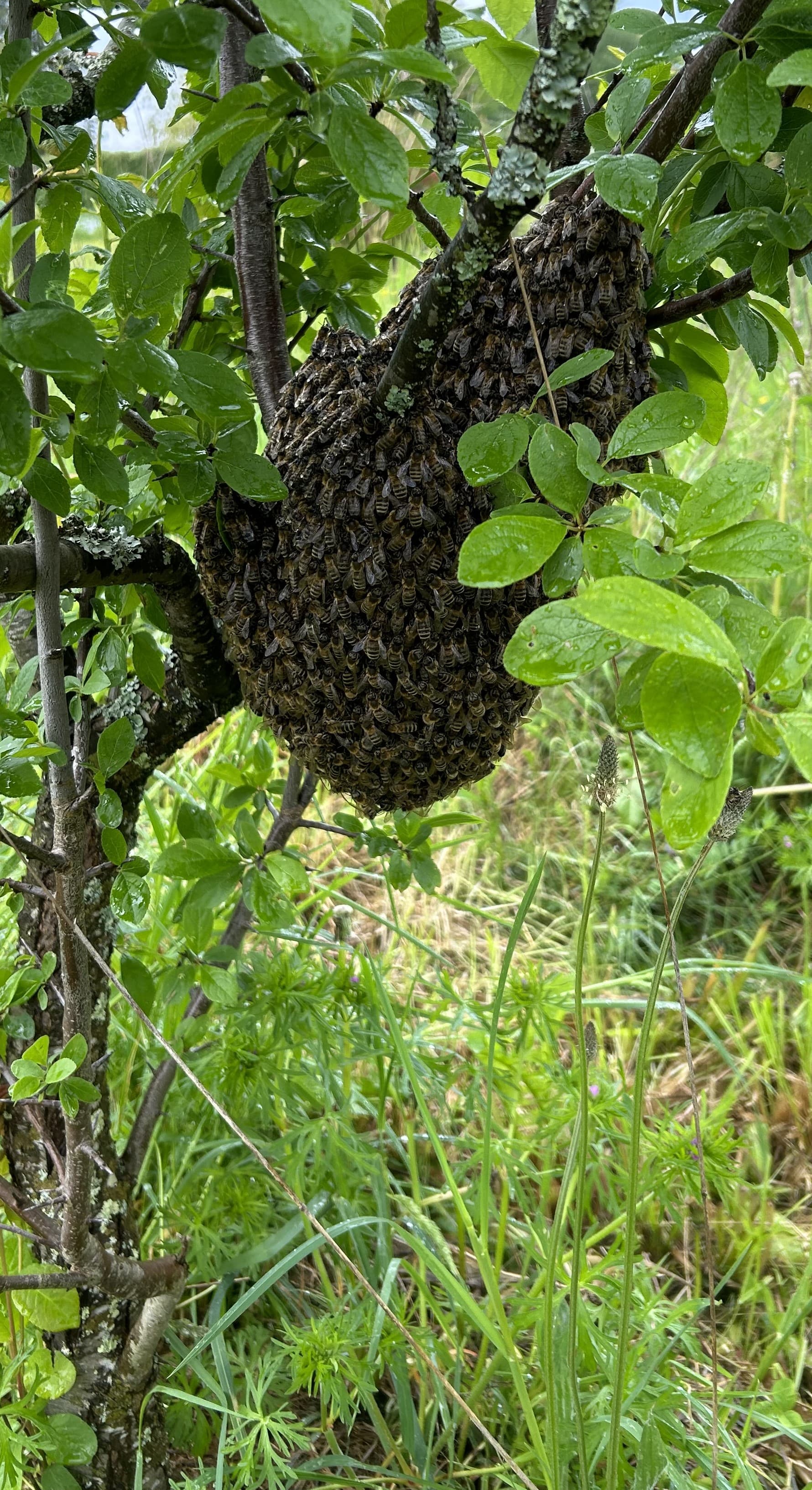 De La Terr'Eau Miel_3