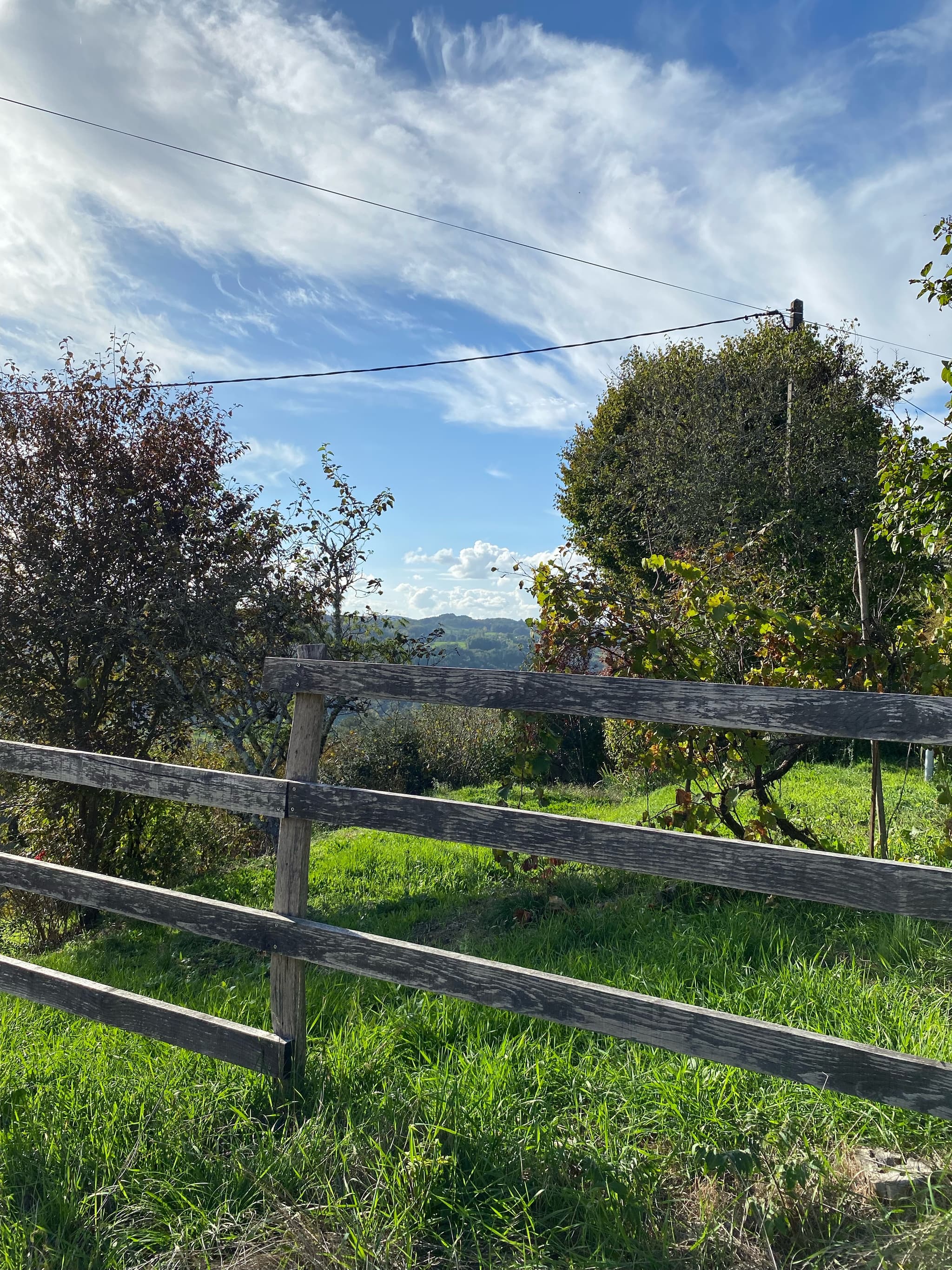 Vue du gîte_15