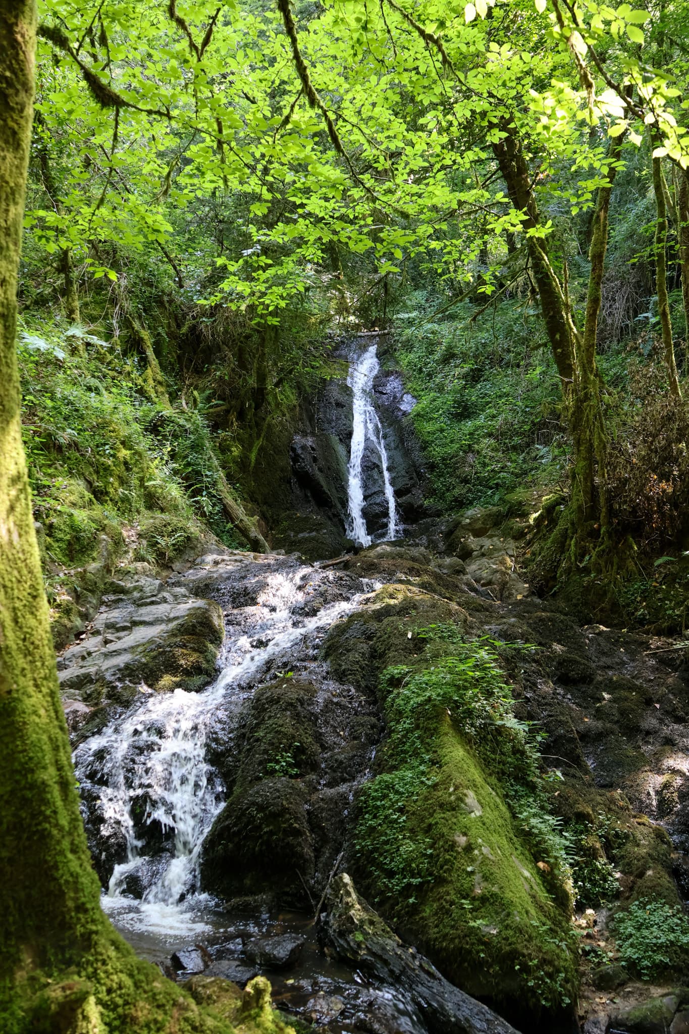 Cascadelles - Gimel