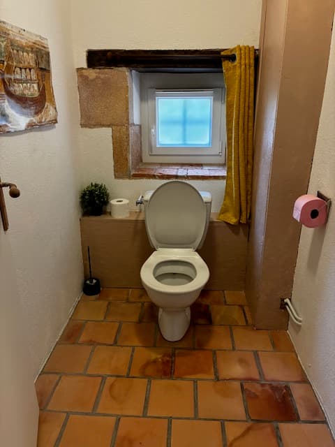 Toilet