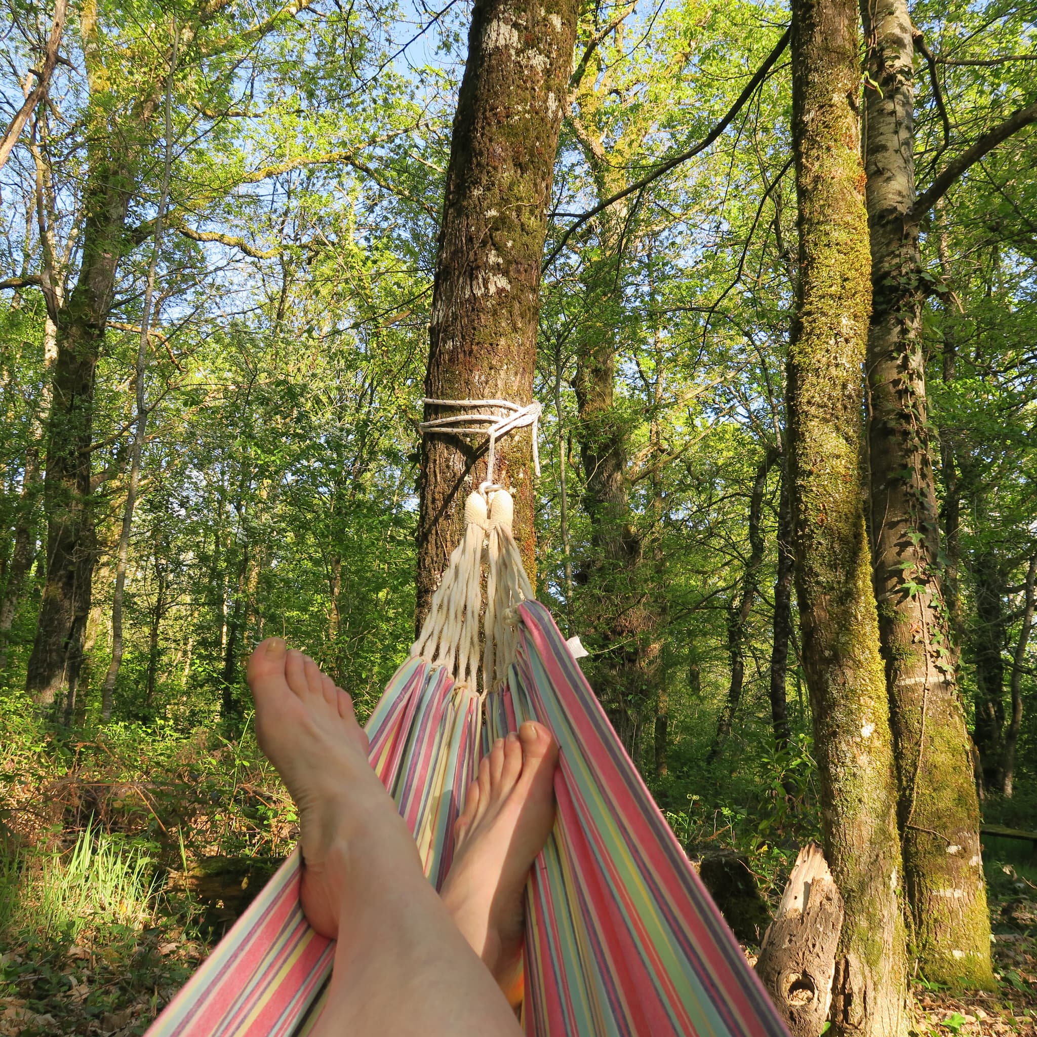 Détendez-vous sous les arbres