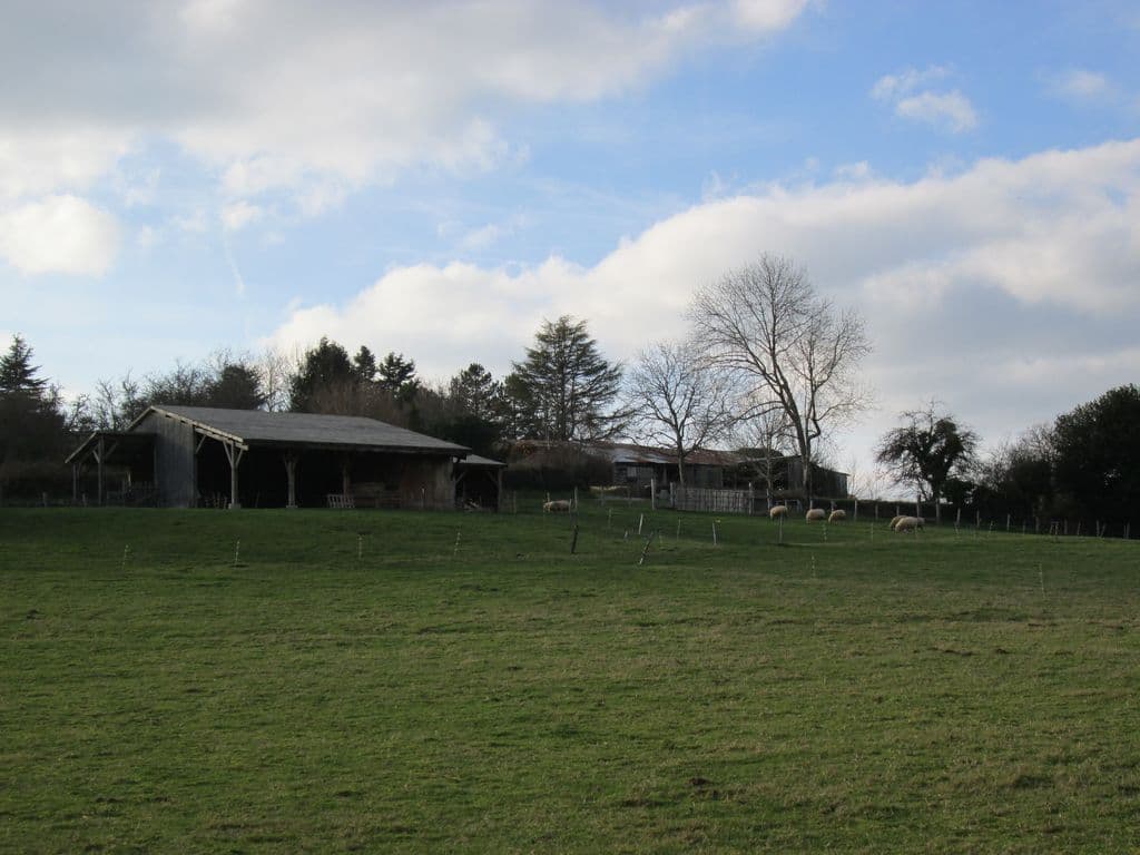 Bergerie