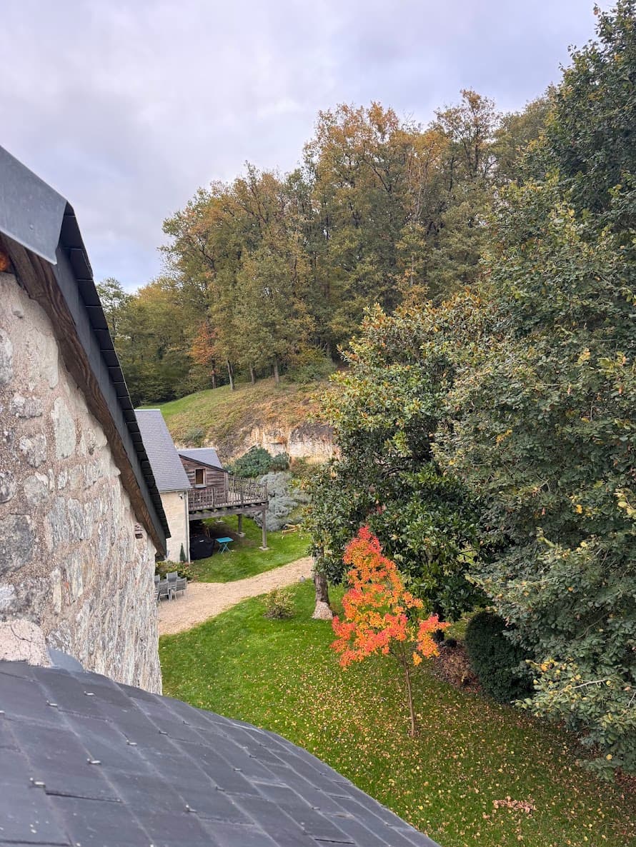 Vue sur la foret