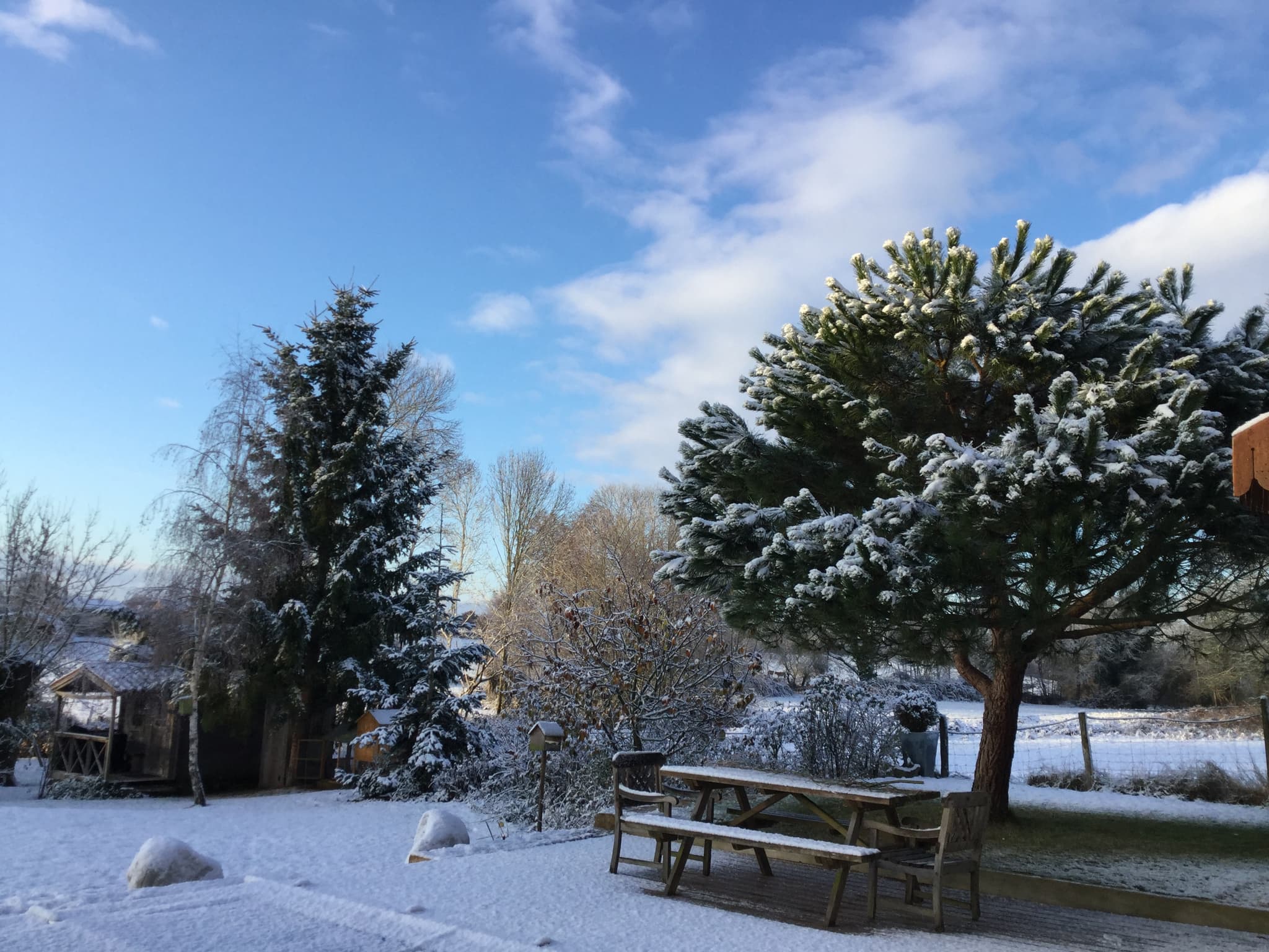 hiver épis du vent