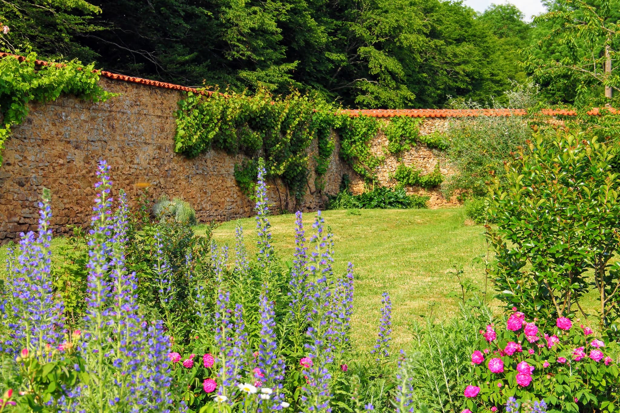 jardin