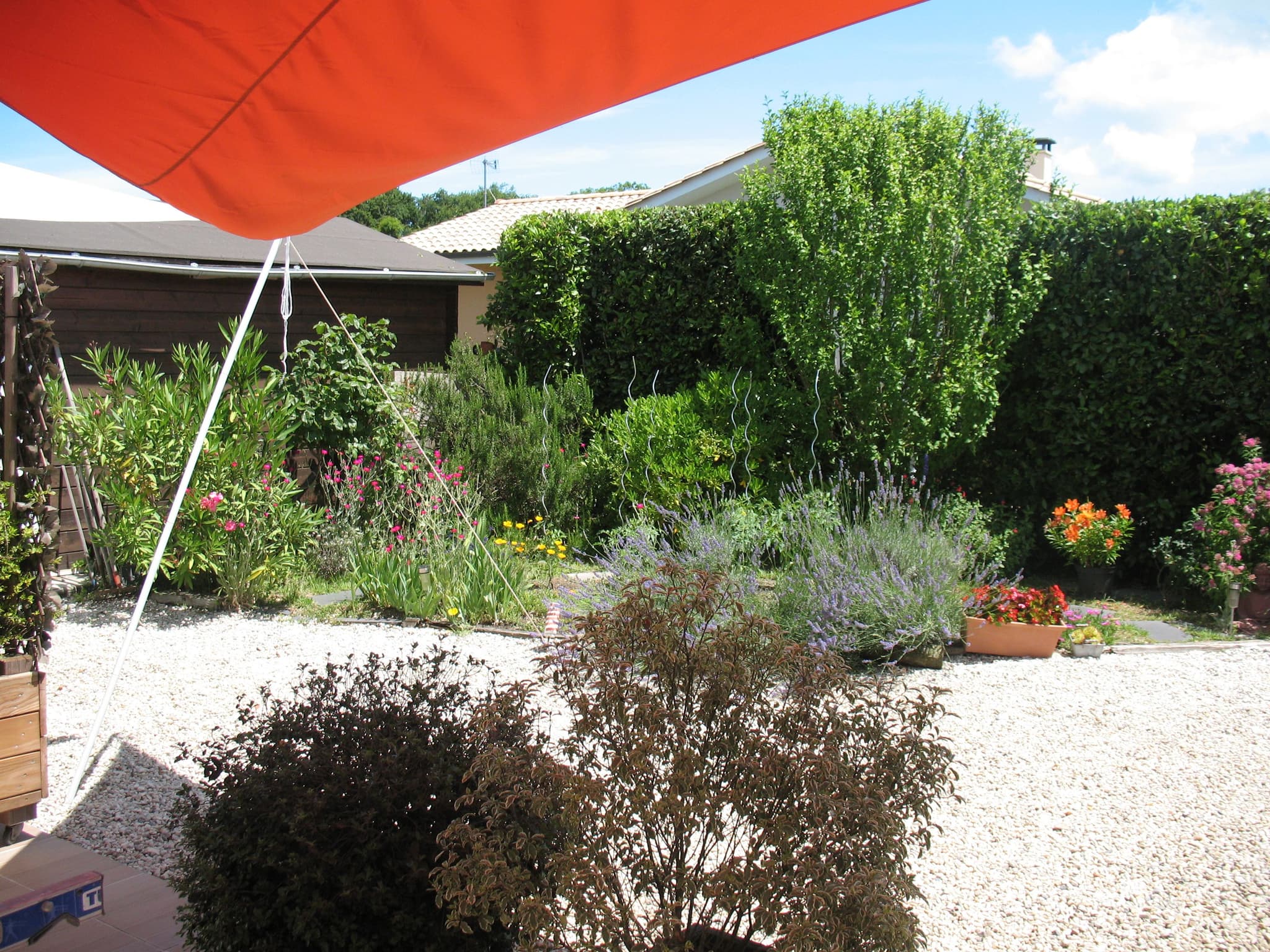 Jardin