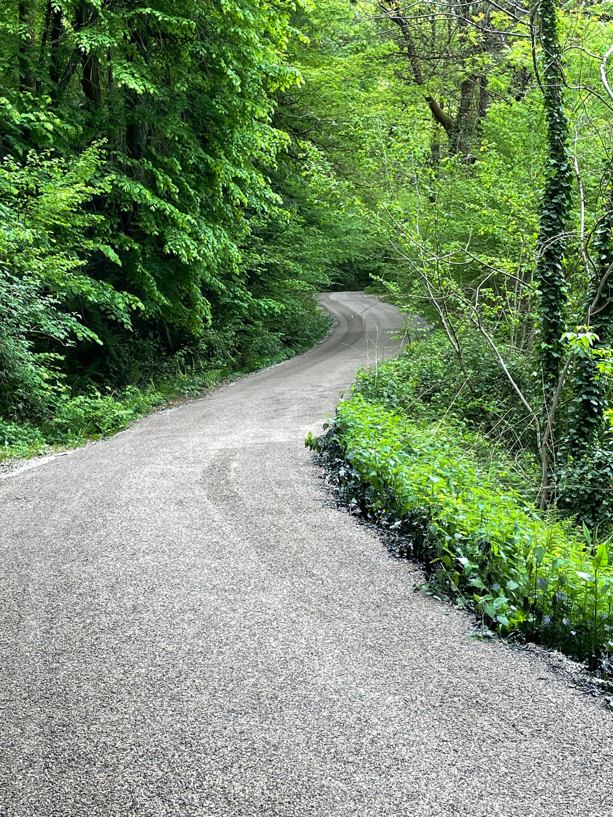 chemin privé menant à la maison_2