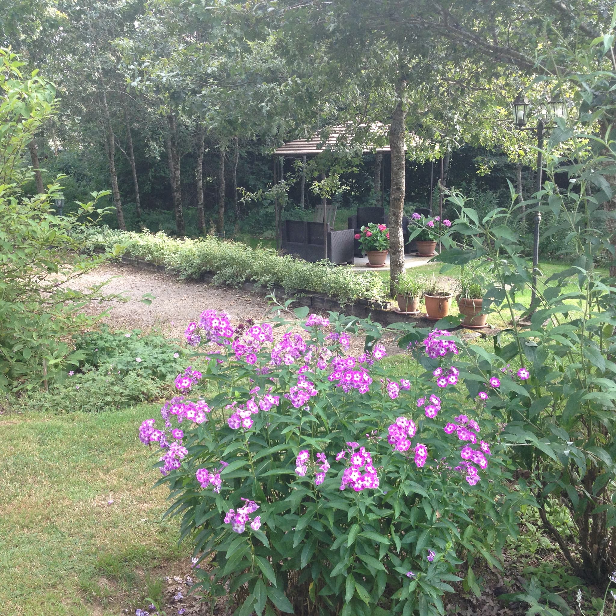 Jardin 2_6