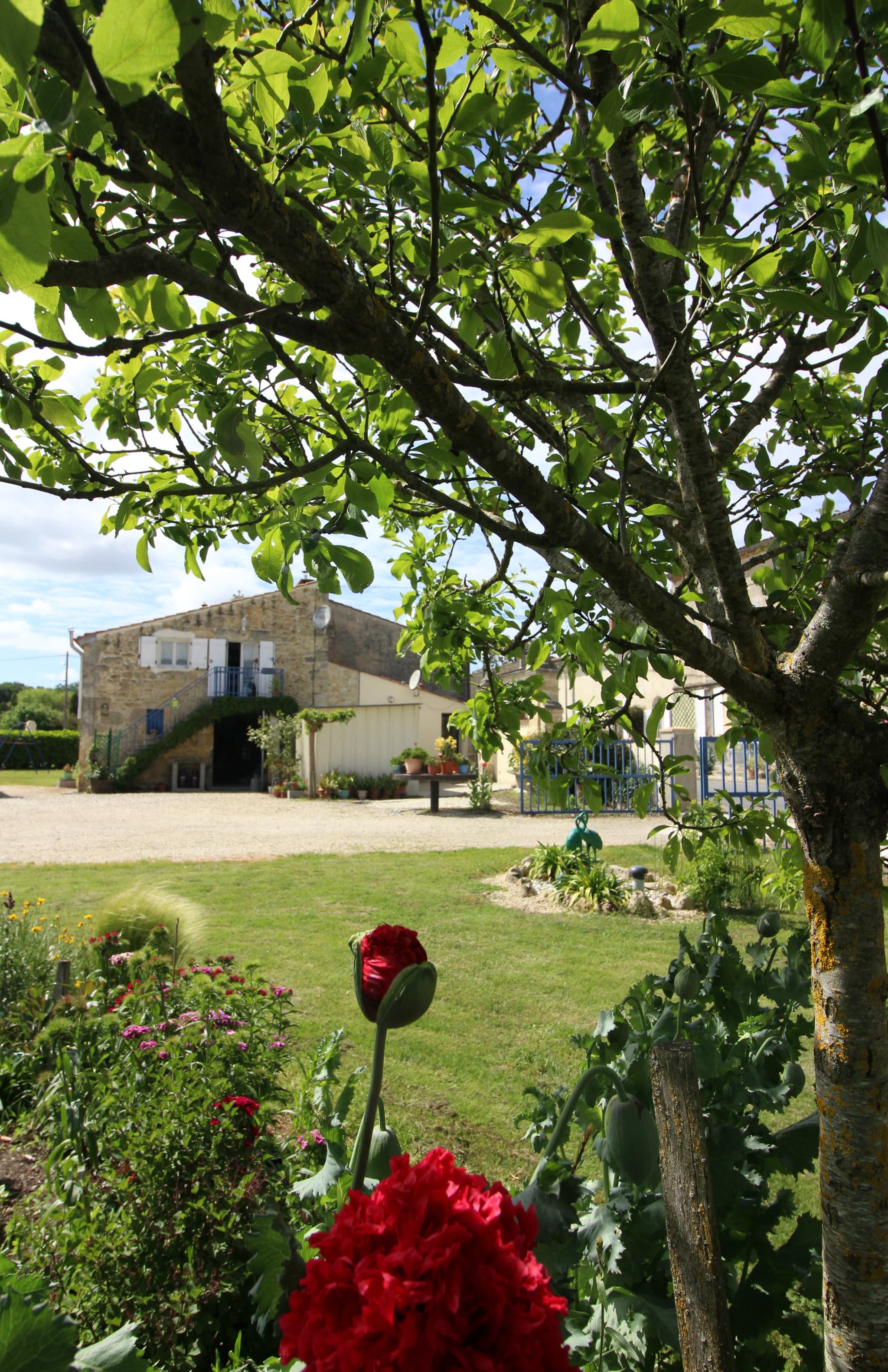 gîte-de-potensac-12