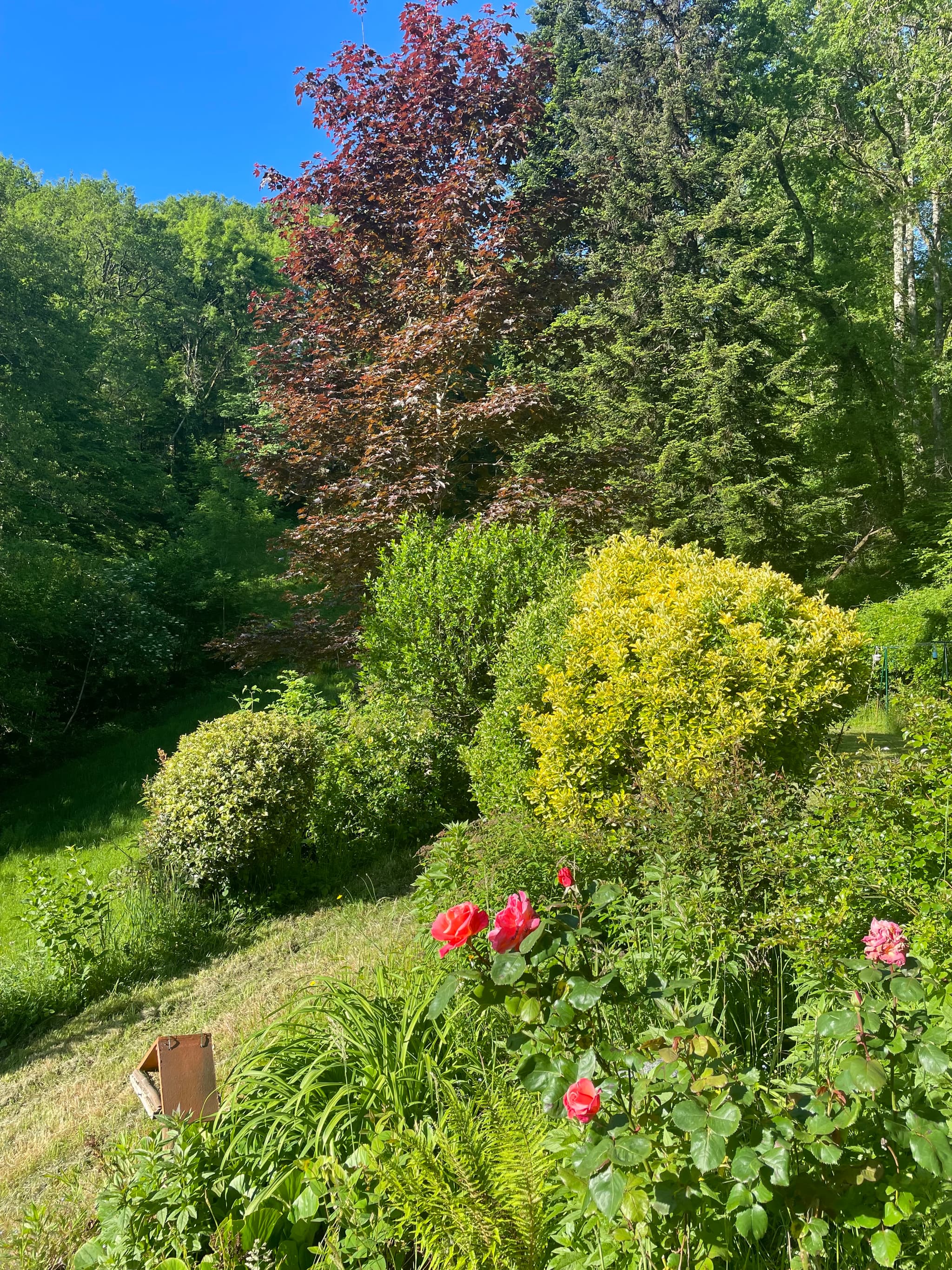 jardin_4